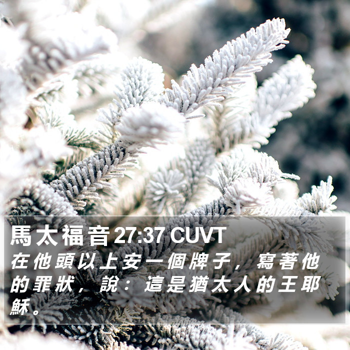 馬 太 福 音 27:37 CUVT Bible Study