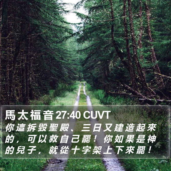 馬 太 福 音 27:40 CUVT Bible Study