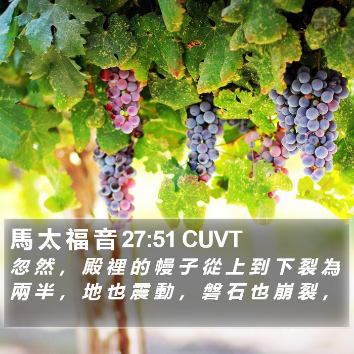 馬 太 福 音 27:51 CUVT Bible Study