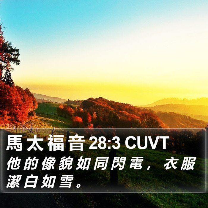 馬 太 福 音 28:3 CUVT Bible Study