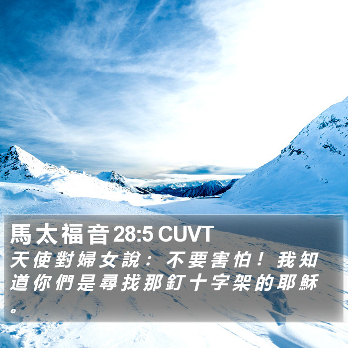 馬 太 福 音 28:5 CUVT Bible Study