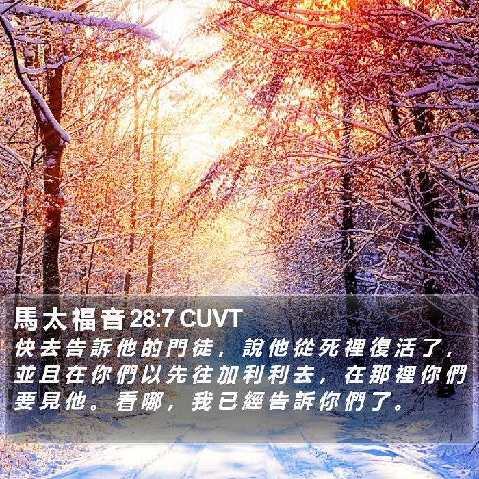 馬 太 福 音 28:7 CUVT Bible Study