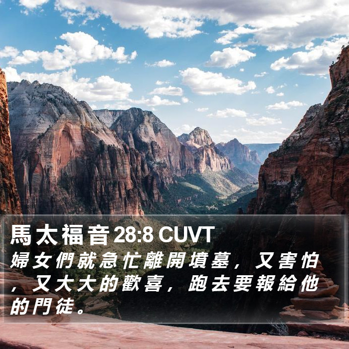 馬 太 福 音 28:8 CUVT Bible Study