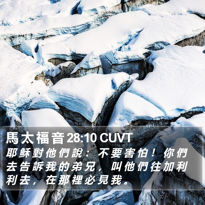 馬 太 福 音 28:10 CUVT Bible Study
