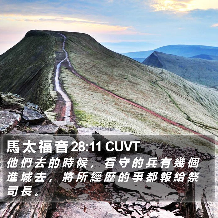 馬 太 福 音 28:11 CUVT Bible Study