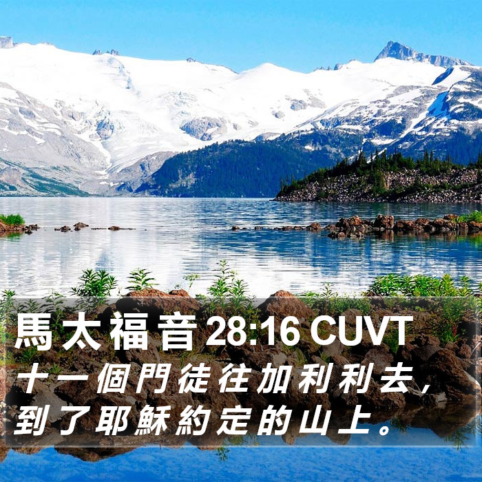 馬 太 福 音 28:16 CUVT Bible Study