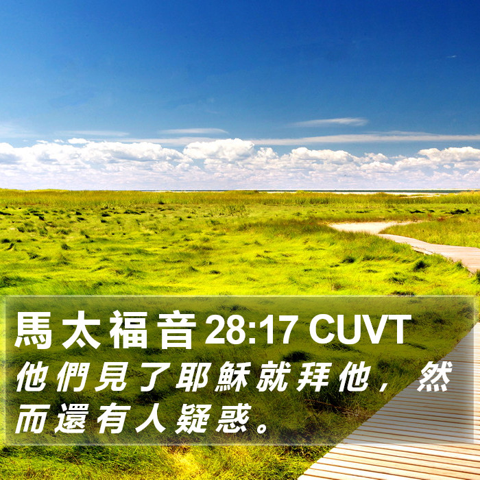 馬 太 福 音 28:17 CUVT Bible Study
