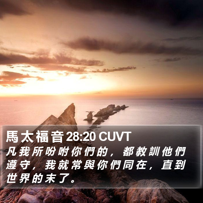 馬 太 福 音 28:20 CUVT Bible Study
