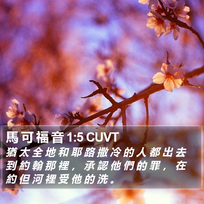 馬 可 福 音 1:5 CUVT Bible Study