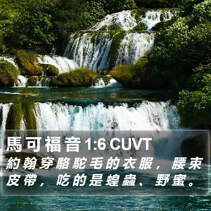 馬 可 福 音 1:6 CUVT Bible Study