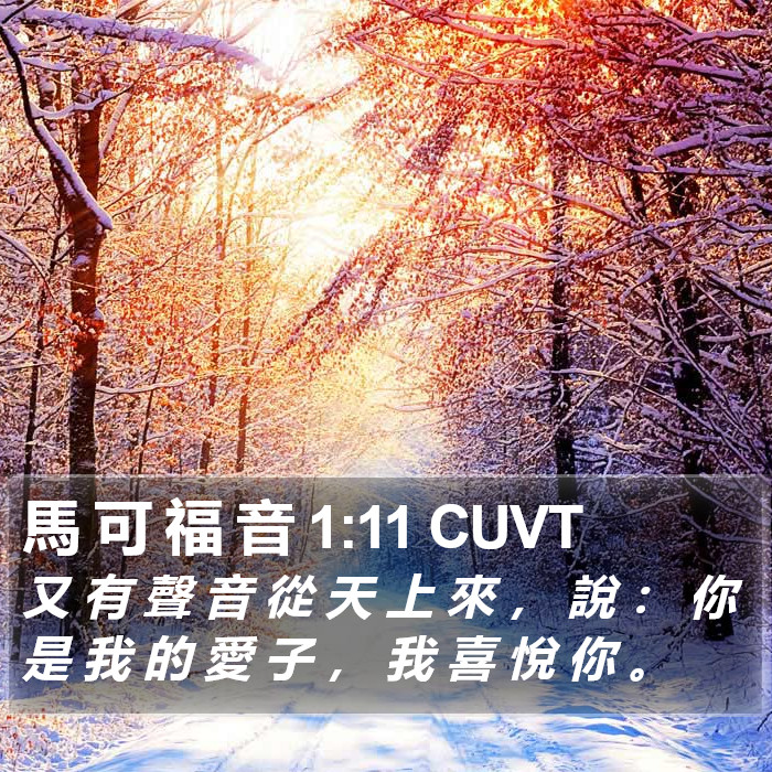 馬 可 福 音 1:11 CUVT Bible Study