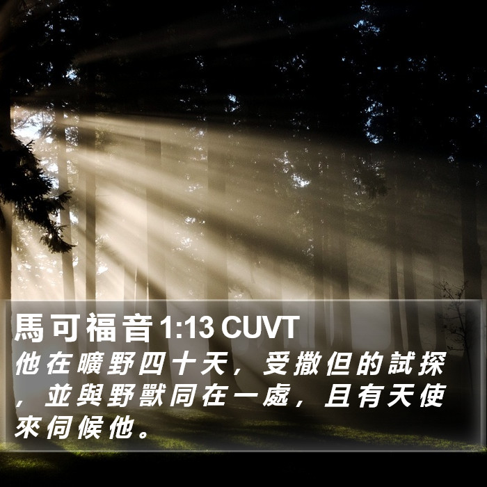 馬 可 福 音 1:13 CUVT Bible Study