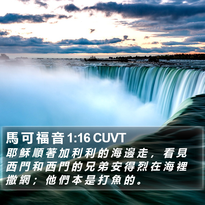 馬 可 福 音 1:16 CUVT Bible Study