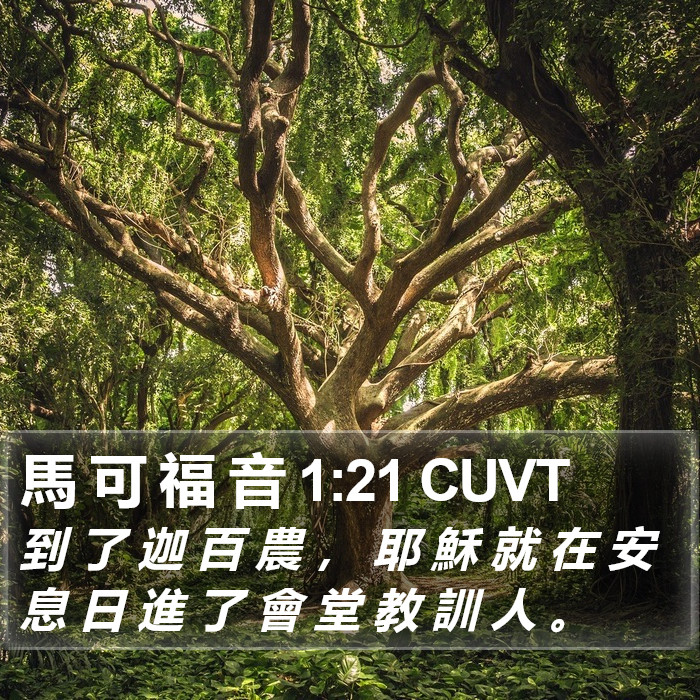 馬 可 福 音 1:21 CUVT Bible Study