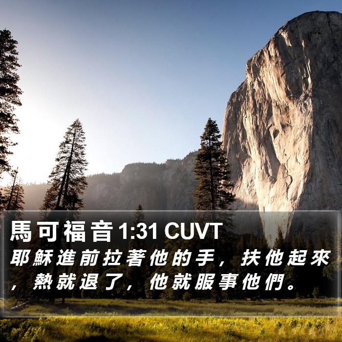 馬 可 福 音 1:31 CUVT Bible Study