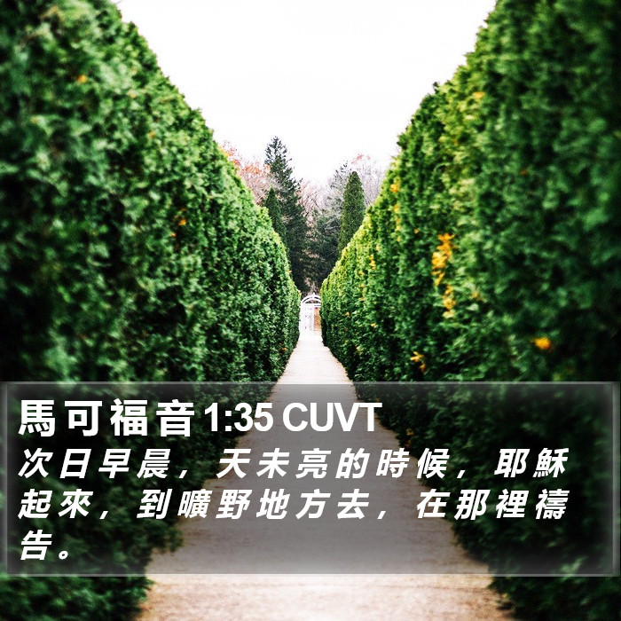 馬 可 福 音 1:35 CUVT Bible Study