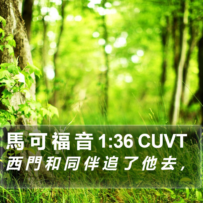 馬 可 福 音 1:36 CUVT Bible Study