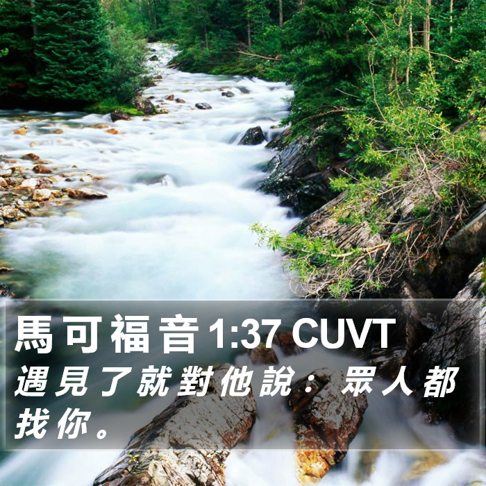 馬 可 福 音 1:37 CUVT Bible Study