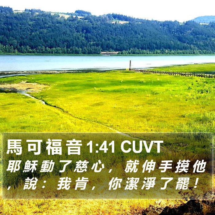 馬 可 福 音 1:41 CUVT Bible Study