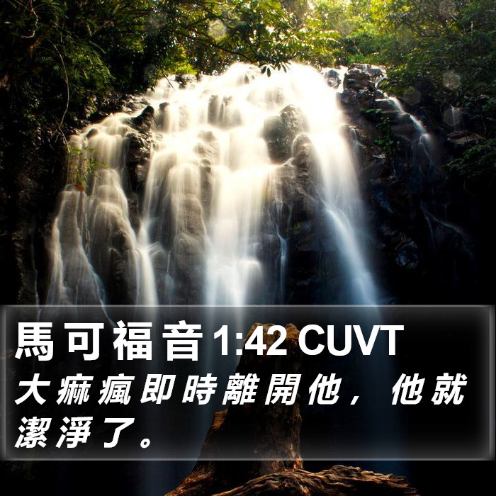 馬 可 福 音 1:42 CUVT Bible Study