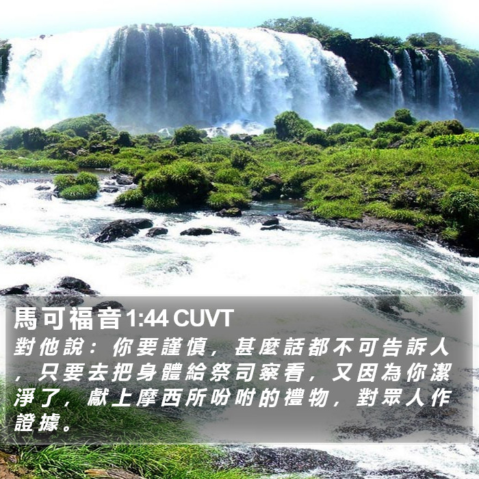 馬 可 福 音 1:44 CUVT Bible Study