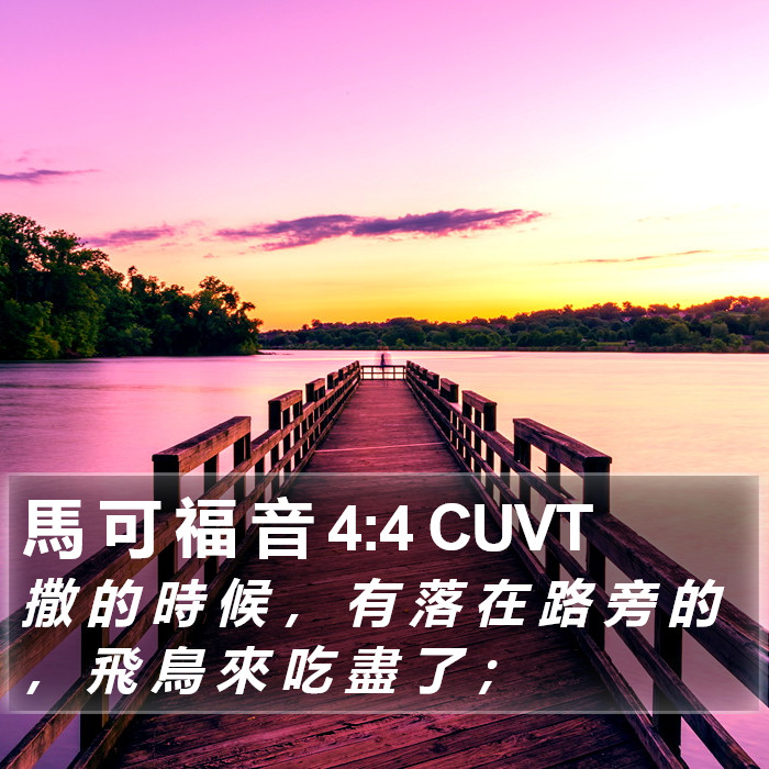 馬 可 福 音 4:4 CUVT Bible Study