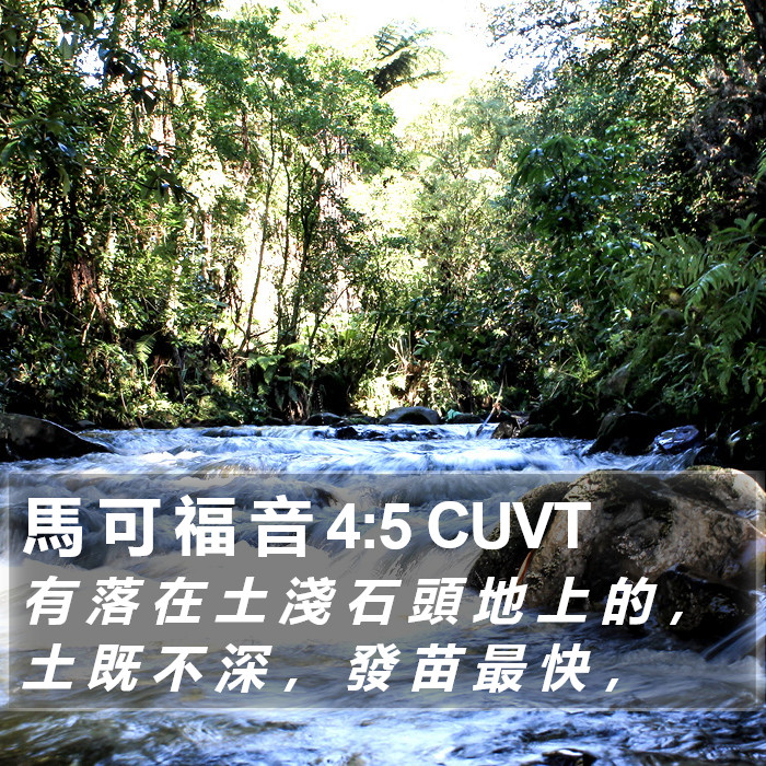 馬 可 福 音 4:5 CUVT Bible Study