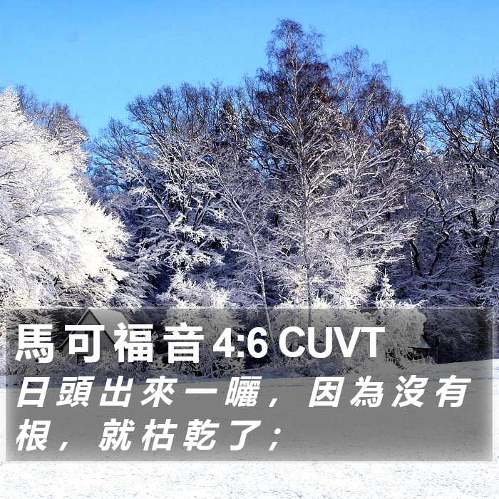馬 可 福 音 4:6 CUVT Bible Study