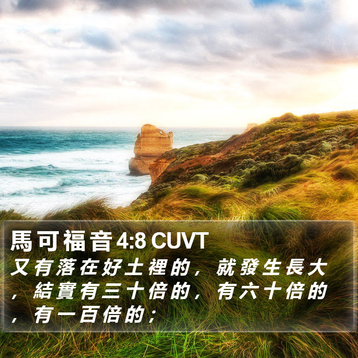 馬 可 福 音 4:8 CUVT Bible Study