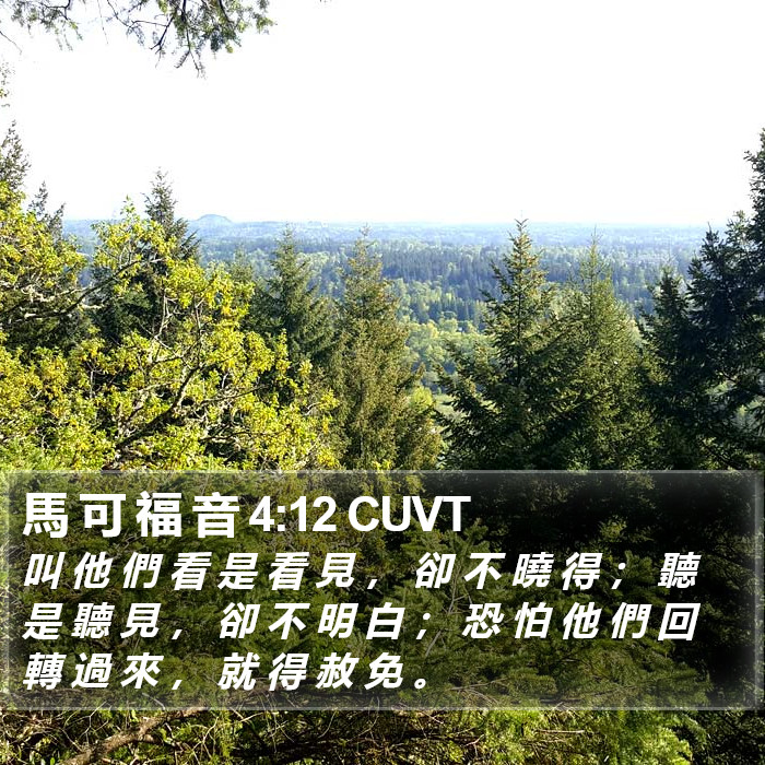 馬 可 福 音 4:12 CUVT Bible Study