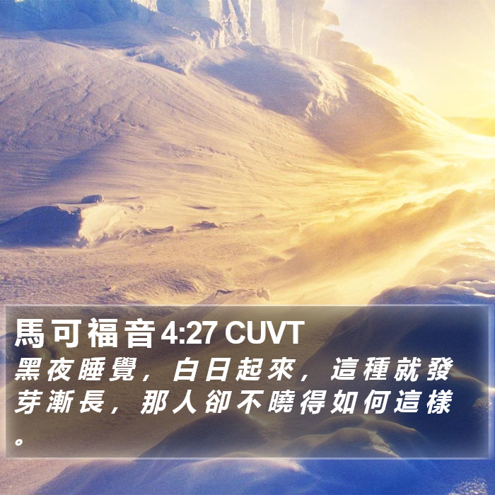 馬 可 福 音 4:27 CUVT Bible Study