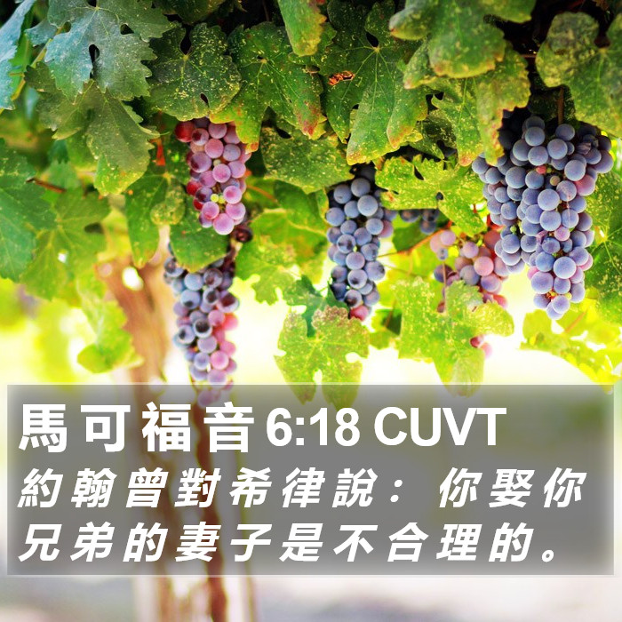 馬 可 福 音 6:18 CUVT Bible Study