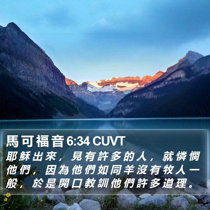 馬 可 福 音 6:34 CUVT Bible Study