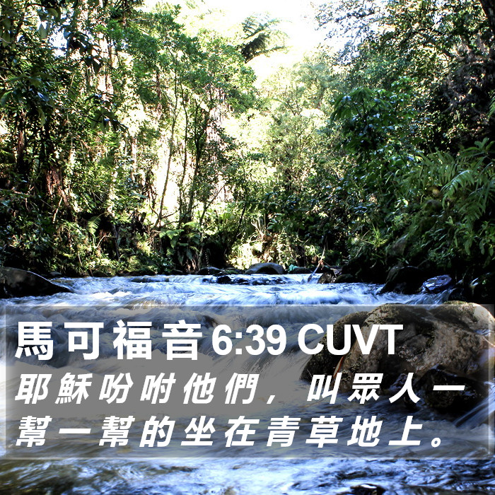 馬 可 福 音 6:39 CUVT Bible Study