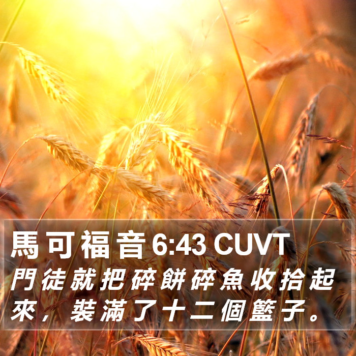 馬 可 福 音 6:43 CUVT Bible Study