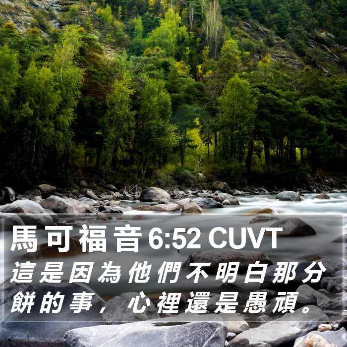 馬 可 福 音 6:52 CUVT Bible Study