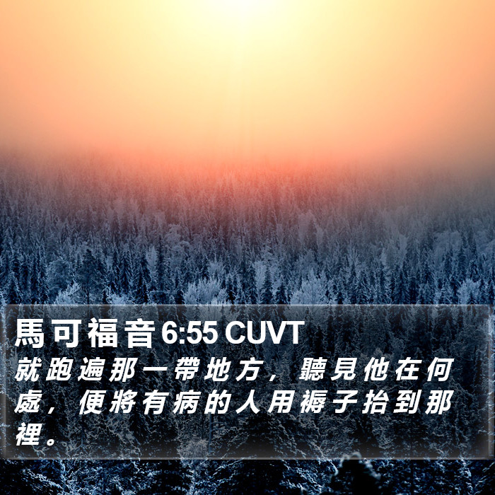 馬 可 福 音 6:55 CUVT Bible Study