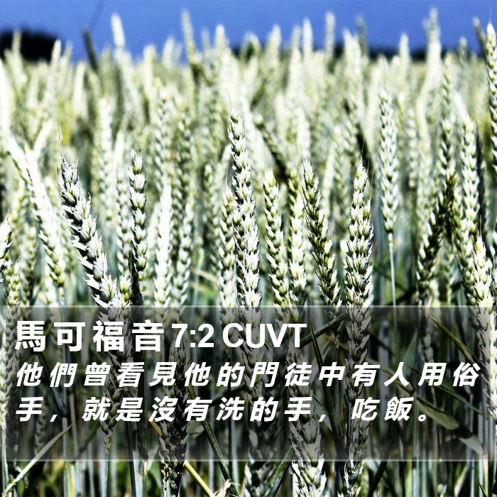 馬 可 福 音 7:2 CUVT Bible Study