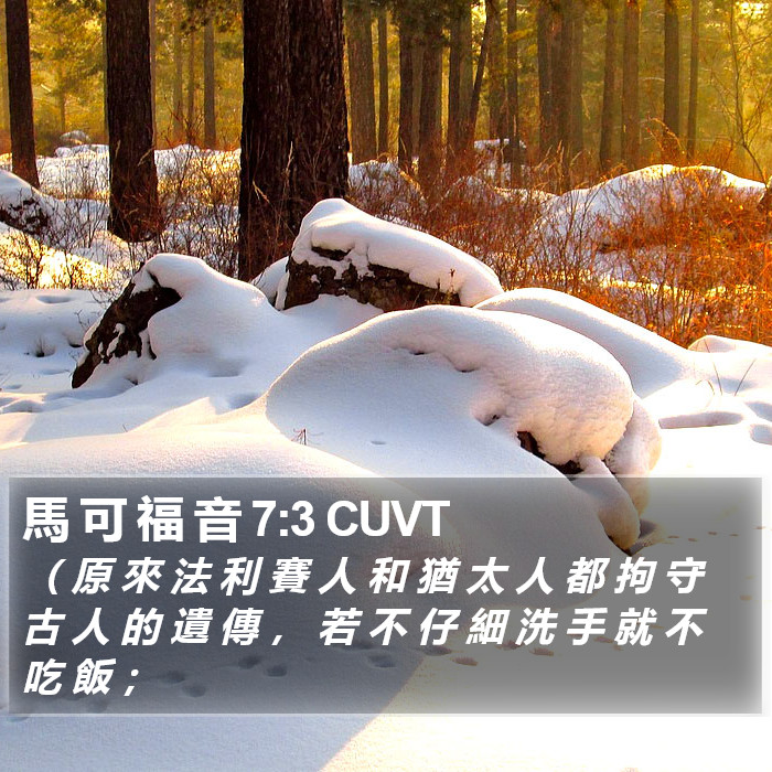 馬 可 福 音 7:3 CUVT Bible Study