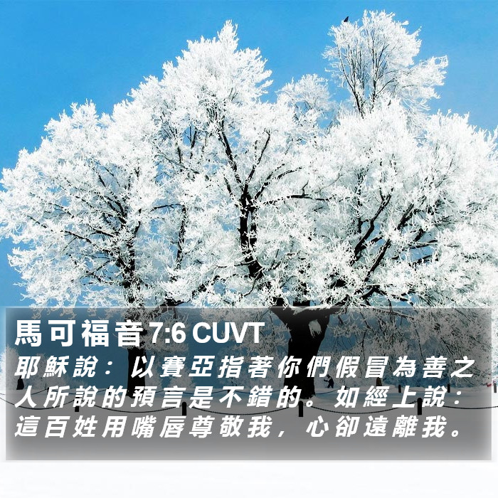 馬 可 福 音 7:6 CUVT Bible Study