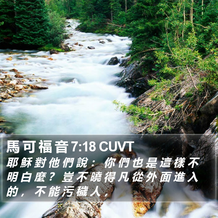 馬 可 福 音 7:18 CUVT Bible Study