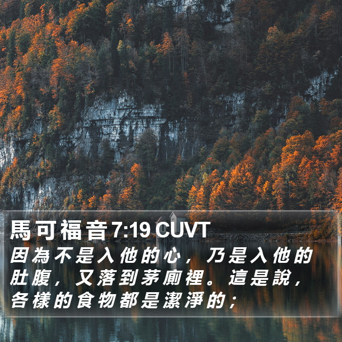 馬 可 福 音 7:19 CUVT Bible Study