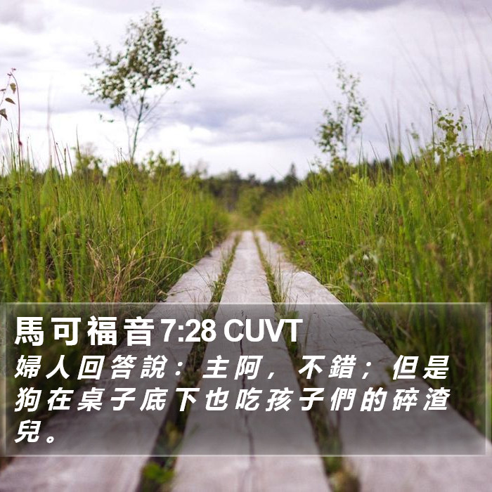 馬 可 福 音 7:28 CUVT Bible Study