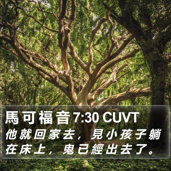 馬 可 福 音 7:30 CUVT Bible Study