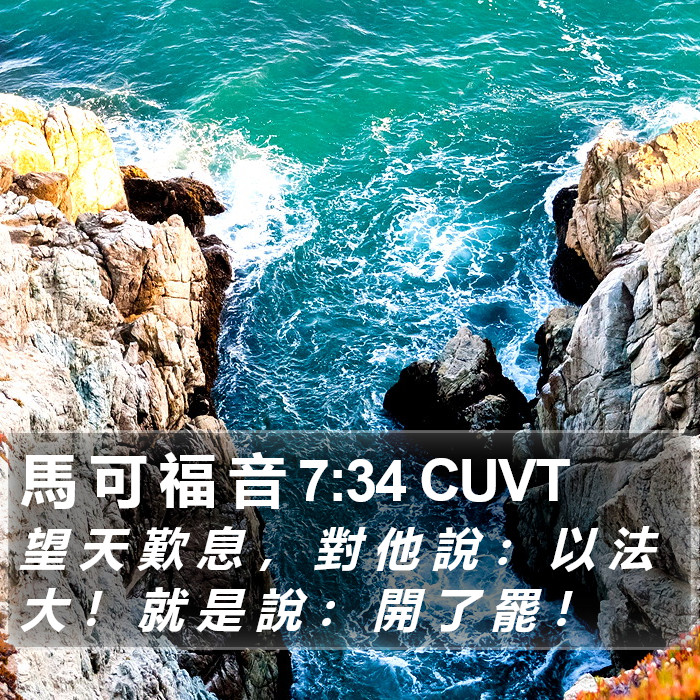 馬 可 福 音 7:34 CUVT Bible Study