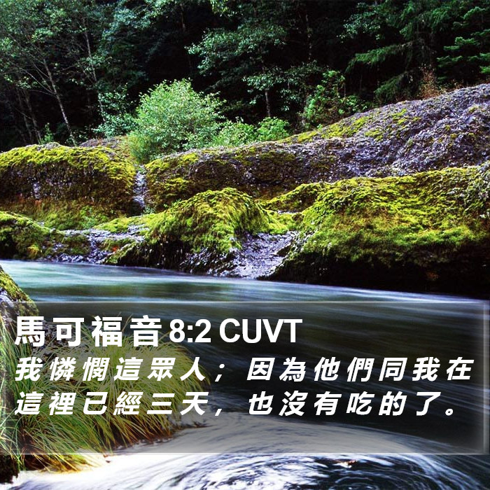 馬 可 福 音 8:2 CUVT Bible Study