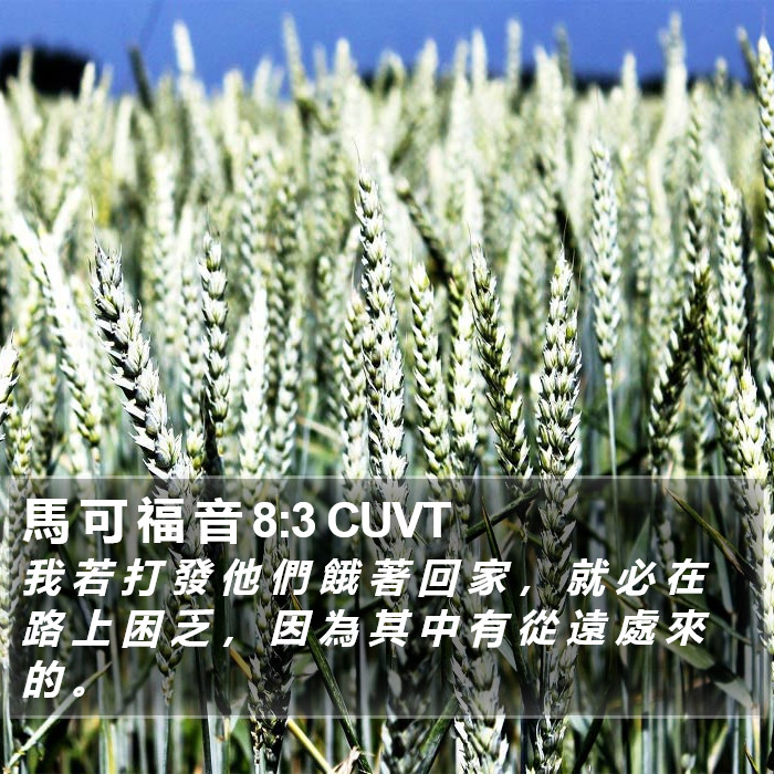 馬 可 福 音 8:3 CUVT Bible Study