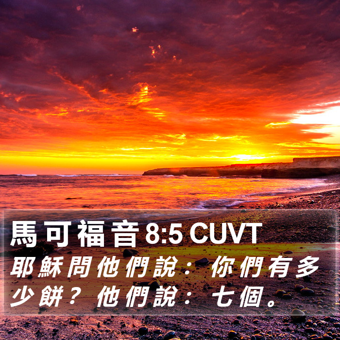 馬 可 福 音 8:5 CUVT Bible Study