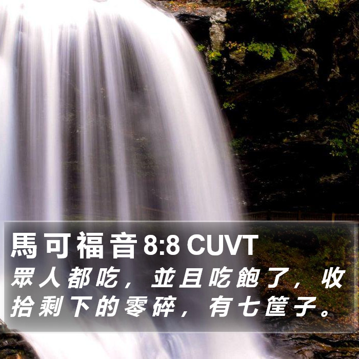馬 可 福 音 8:8 CUVT Bible Study