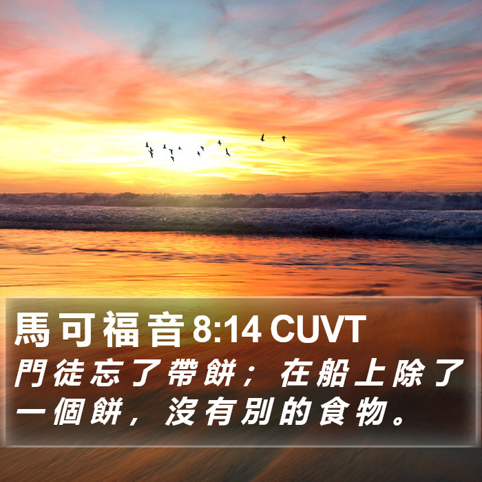 馬 可 福 音 8:14 CUVT Bible Study